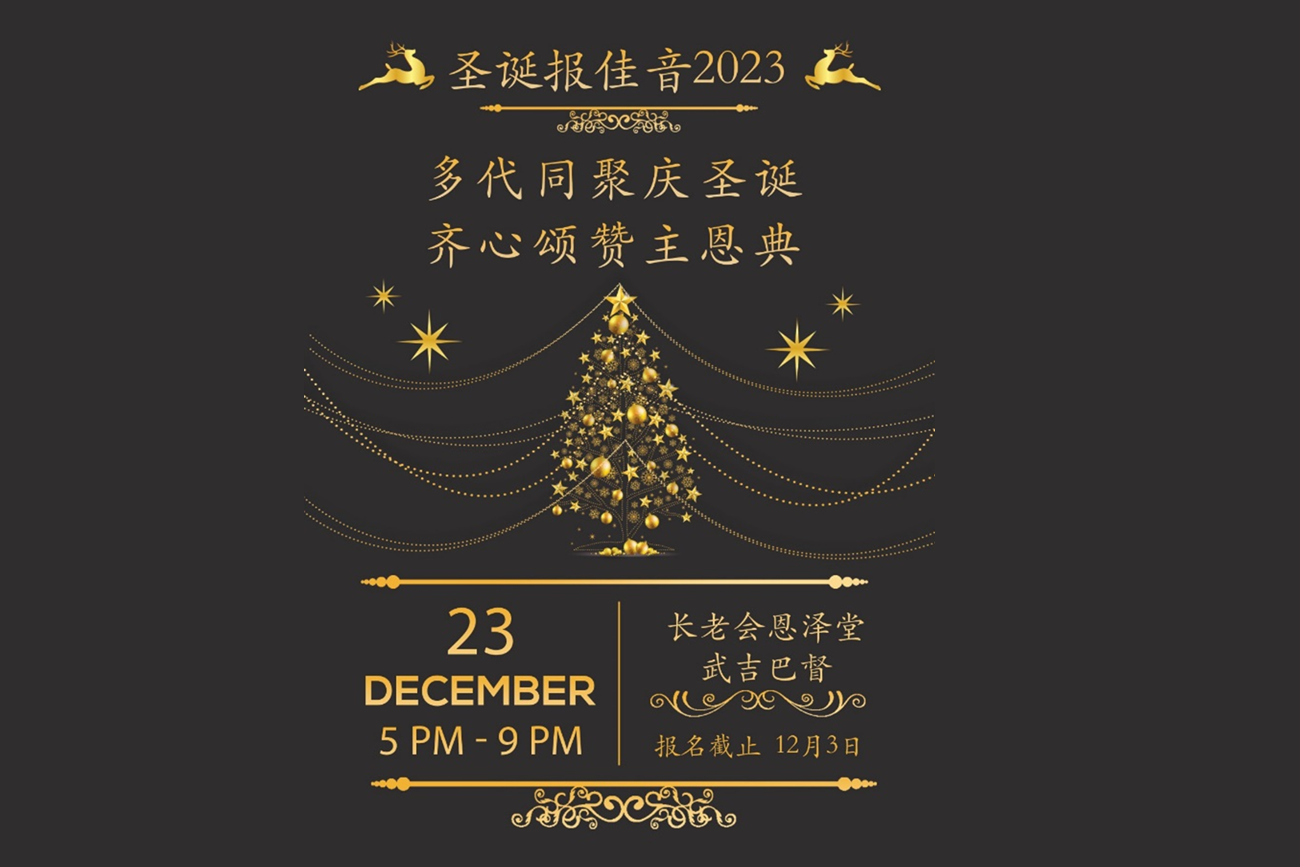 2023年圣诞报佳音