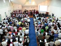 宣教主日：齐收割