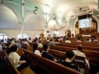 年议会（12月8日）