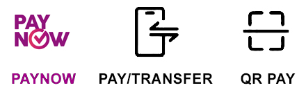 paynow title icon1