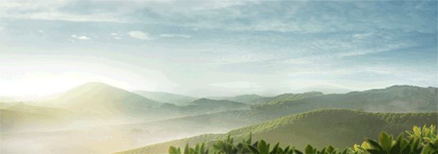 2014年联合家庭营