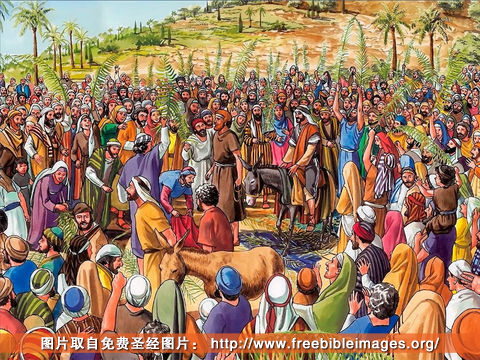 主理牧师的话2020年4月