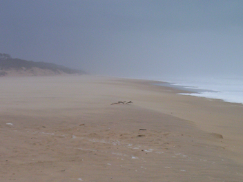 主理牧师的话2017年5月