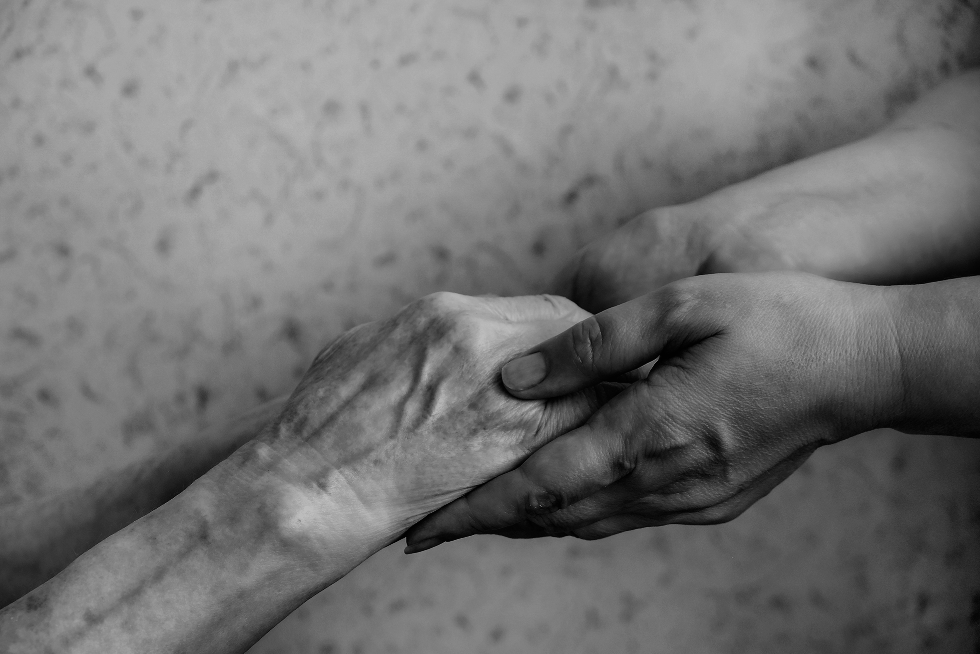 联合祷告会安娜