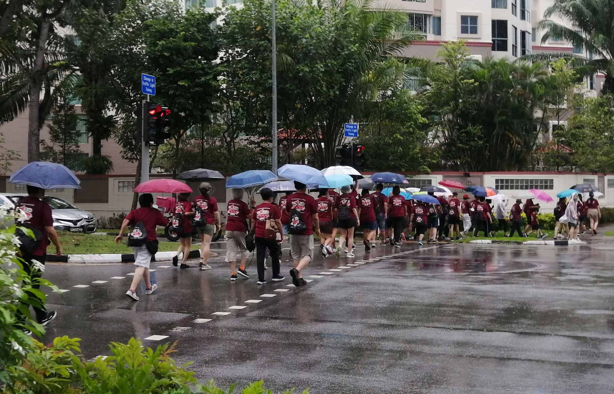 无畏风雨大步向前