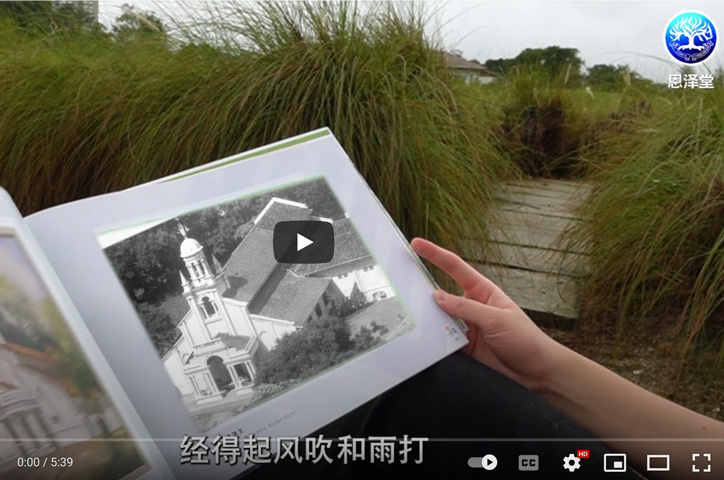 恩泽55视频截图3