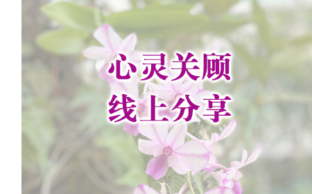 心灵关顾线上分享