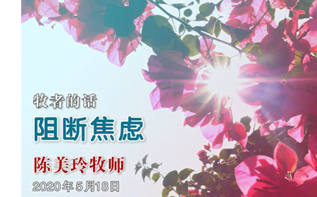 每周教牧分享视频1