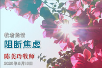 每周一教牧分享视频